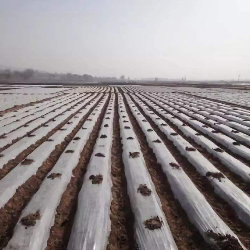 Anti-drip Plastic Mulch Film