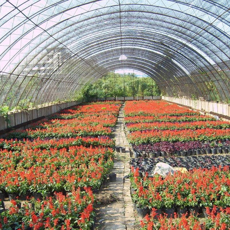 Special Film for Flowers