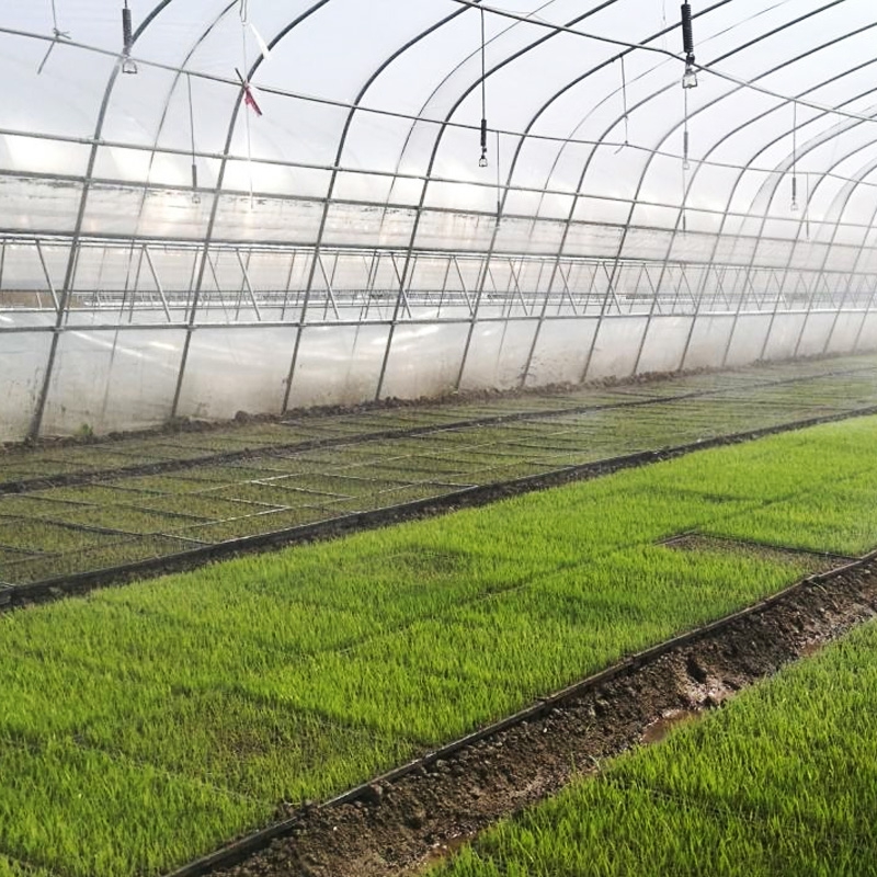 Rice Seedling Raising Film
