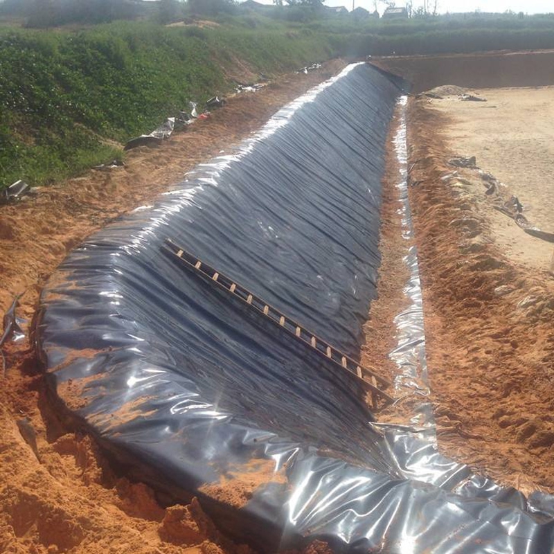 Geomembrane