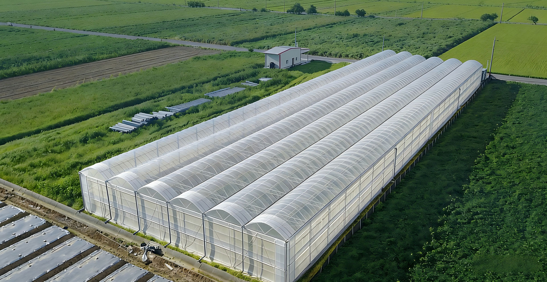 Qingzhou Greenhope