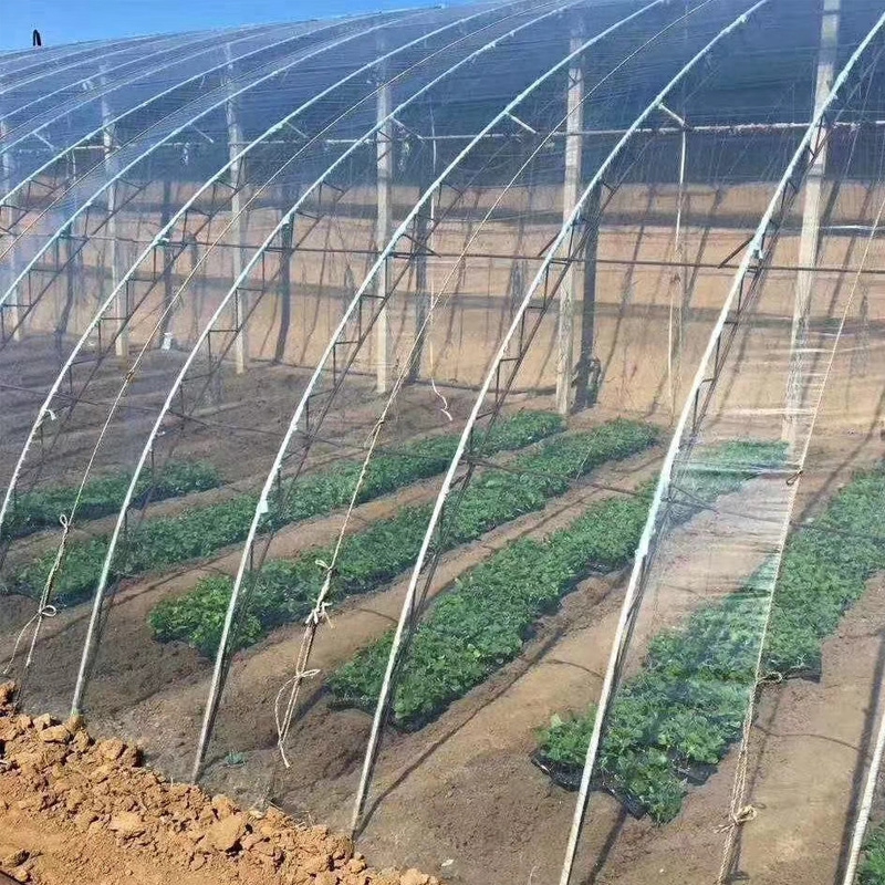 upload/img/20260324133402.jpg